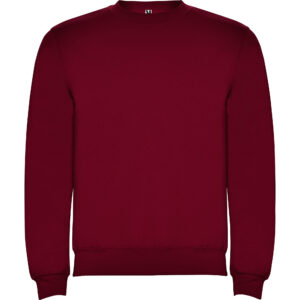 Sudadera Clásica | Roly - Imagen 24